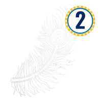 Feather