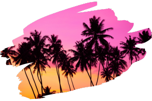 A photo of palm trees taken at sunset in front of a pink and orange sky. 